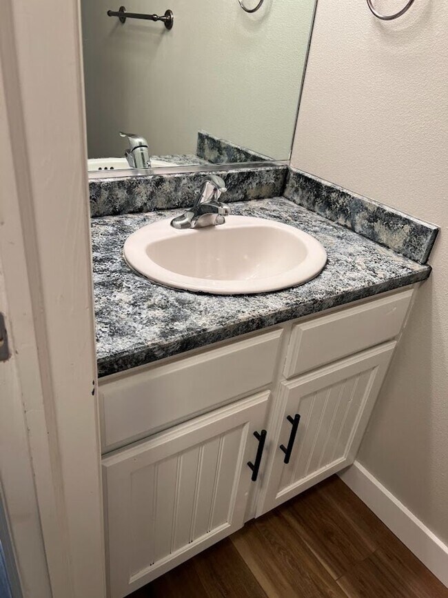 Building Photo - Newly Remodeled Throughout!