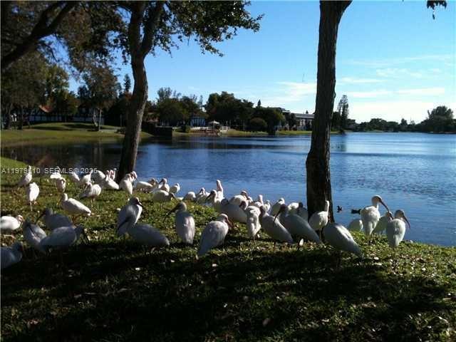 Building Photo - 3710 Inverrary Dr