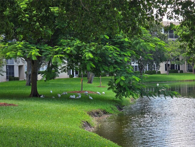 Building Photo - 2305 Lucaya Ln