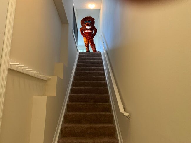 Building Photo - 2005 Mariposa Vista Ln