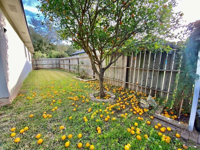 Building Photo - Easy Living, Inside and Out