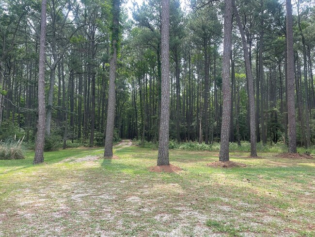 Building Photo - 4680 Peaceful Shores Dr