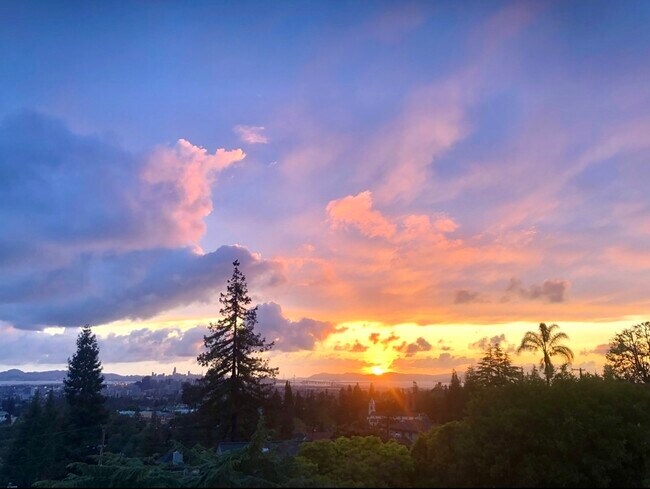 Building Photo - 1915 Oakview Dr