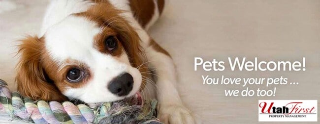 Building Photo - Beautiful Two Bedroom Home! End Unit!