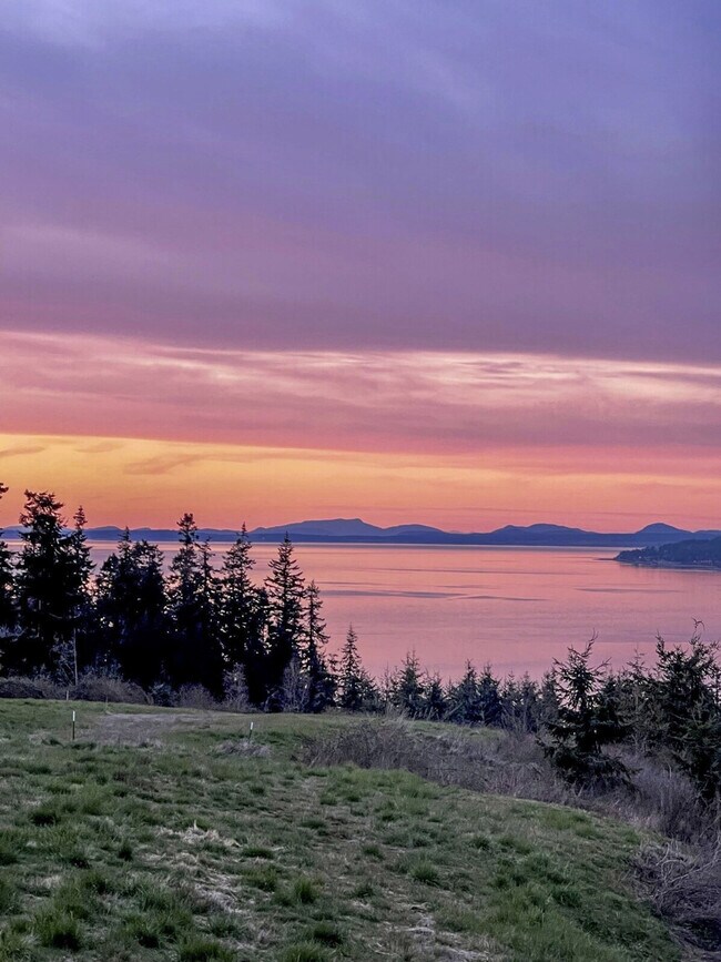 Building Photo - 3355 Saratoga Rd