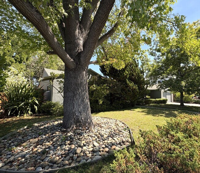 Building Photo - Charming 3BR/2BA Home in West Menlo Park