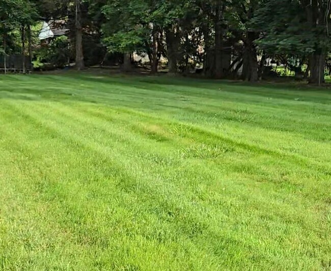 Building Photo - Beautiful Landale 4 Bedroom Single with 2 car garage for rent $3,650/month