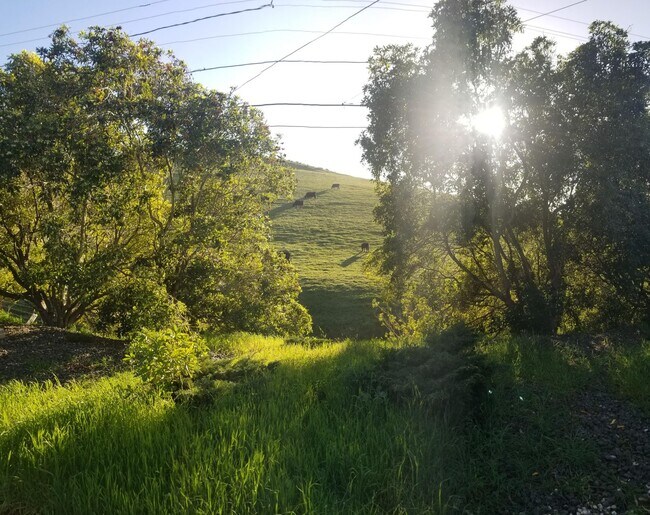 Building Photo - Immaculate 5 Bedroom 3 bath home with beautiful hill views!