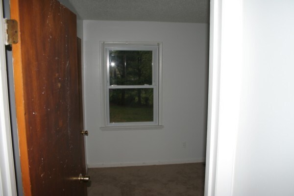 Building Photo - 3777 Sedgefield Dr