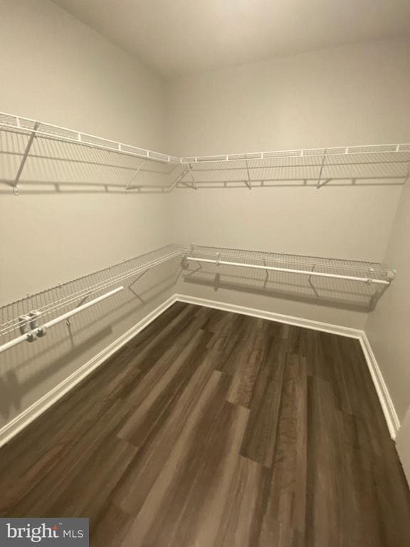 Building Photo - 214 Gumspring Dr
