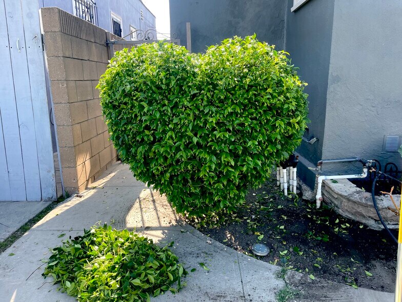 Love Tree - 6425 Haas Ave