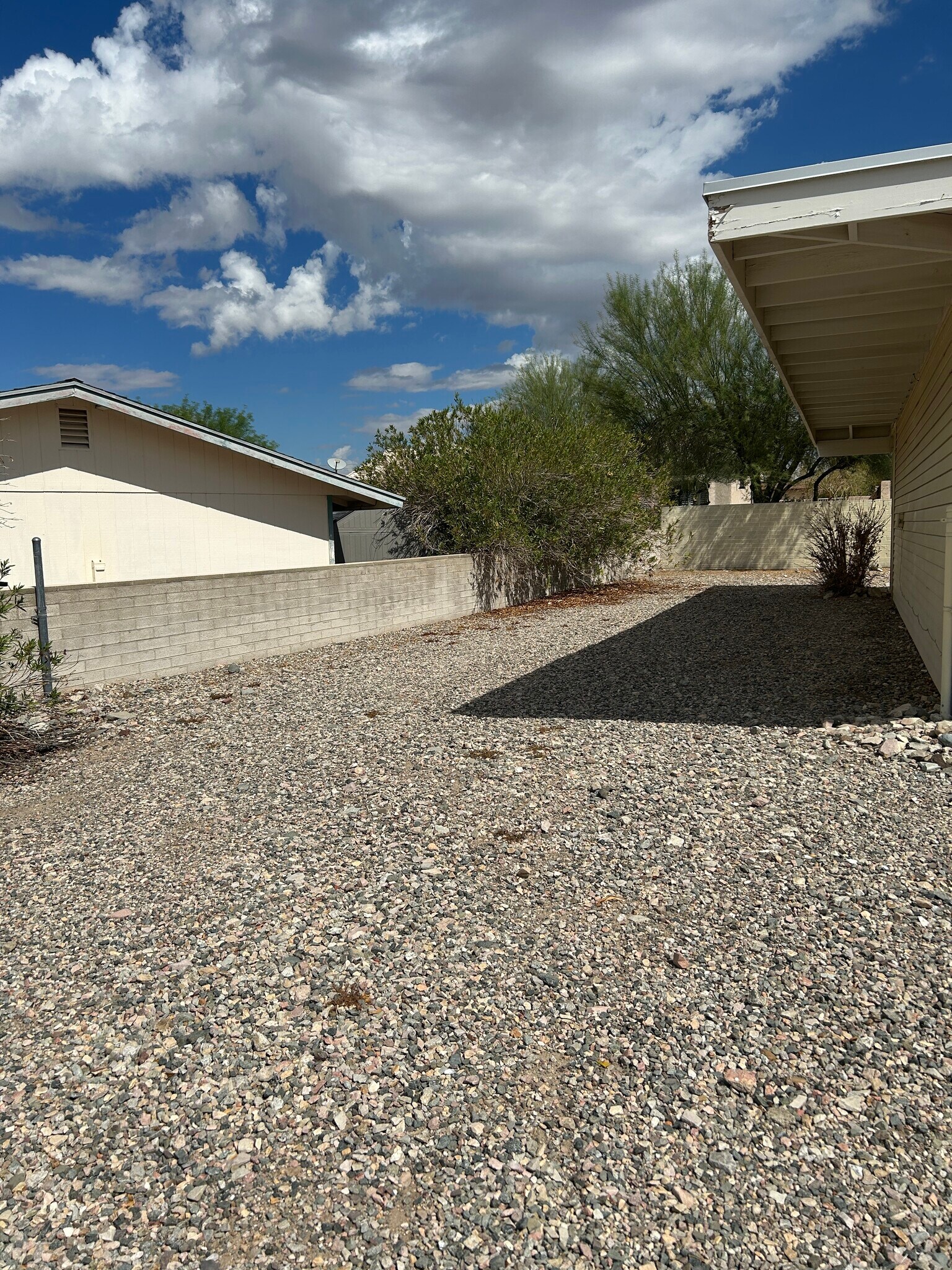 Side Yard - 1971 Cliffrose Dr