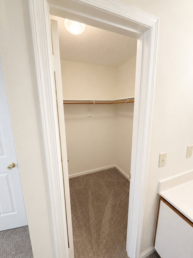 Building Photo - 541 Pineland Cir