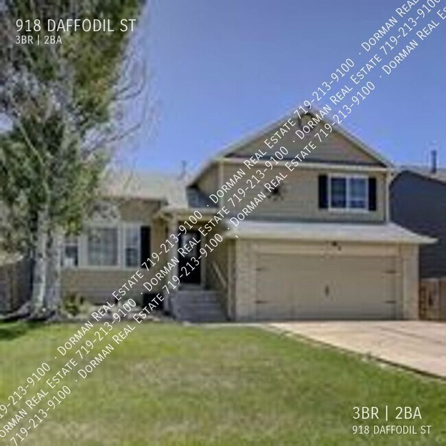 Primary Photo - 918 Daffodil St