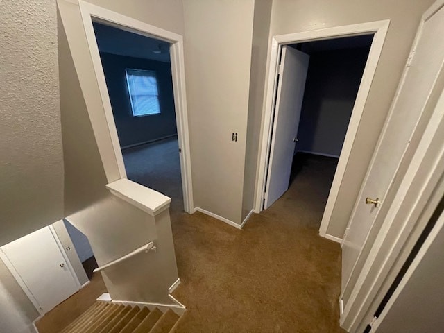 Building Photo - 1457 Karl Dr