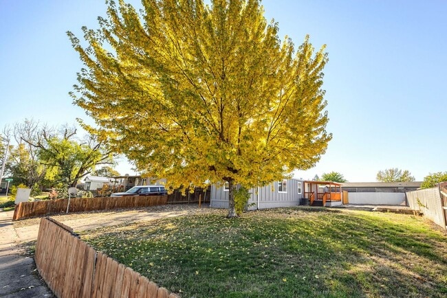 Building Photo - Cozy Home and Beautiful Spacious Yard