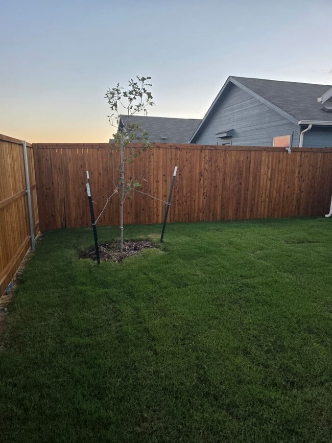 Building Photo - 3040 Burmese St