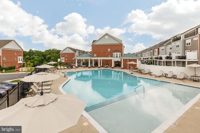 Building Photo - 7916a Potter Pl