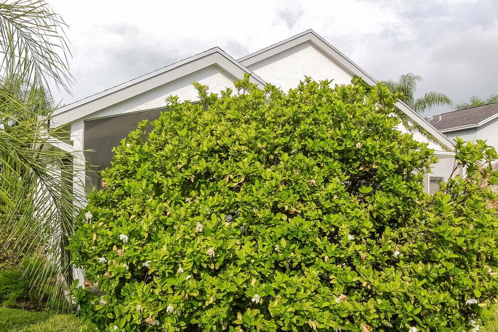 Building Photo - 12753 Meadowbreeze Dr