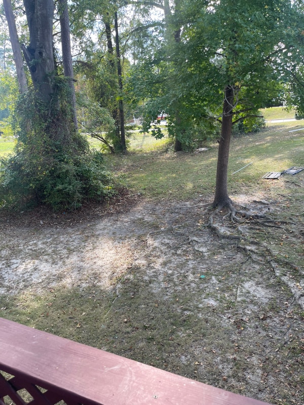 Building Photo - 6206 Olde Towne Dr