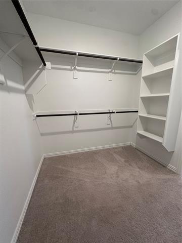 Building Photo - 1513 Van Gogh Dr