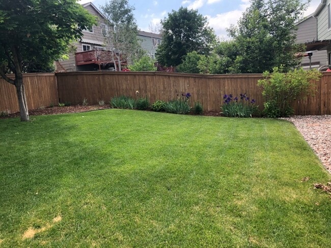 Building Photo - 9491 Cove Creek Dr