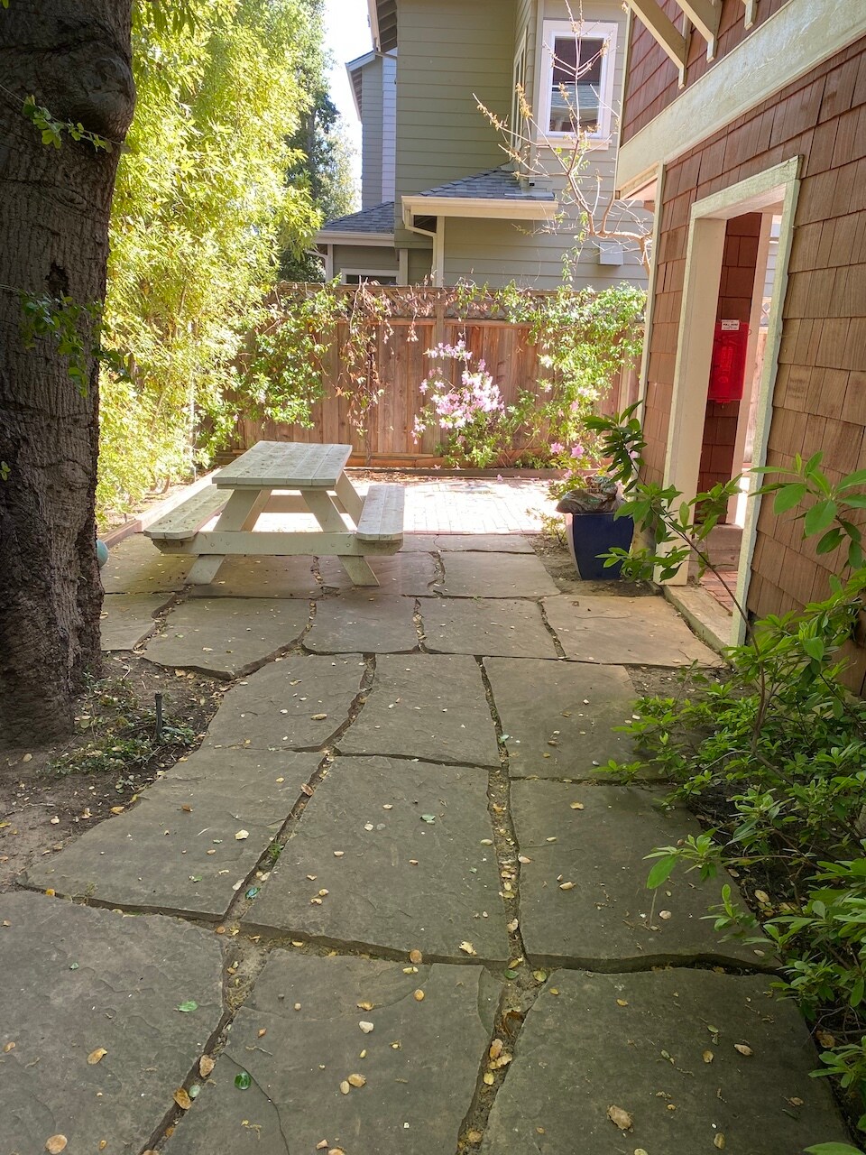 shared yard - 663 Prospect St