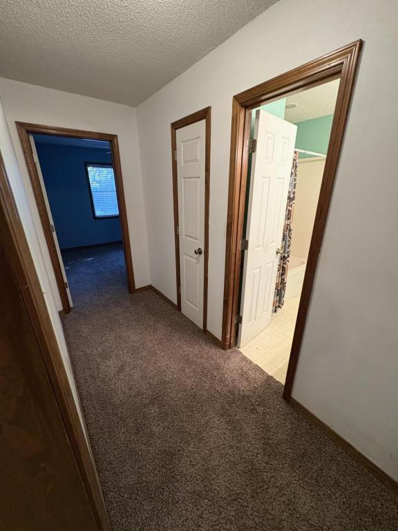 Building Photo - 1508 Beachview Dr