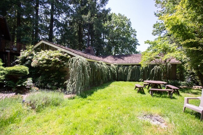 Primary Photo - Mid Century 3 Bedroom Home Available Now i...