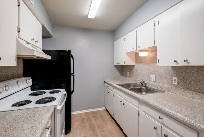 Building Photo - Downstairs 1/1 in Historic Monte Vista