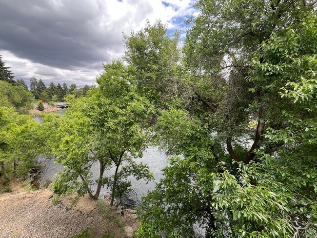Building Photo - 1 Bed/1 Bath with River Views! Riviera Rid...