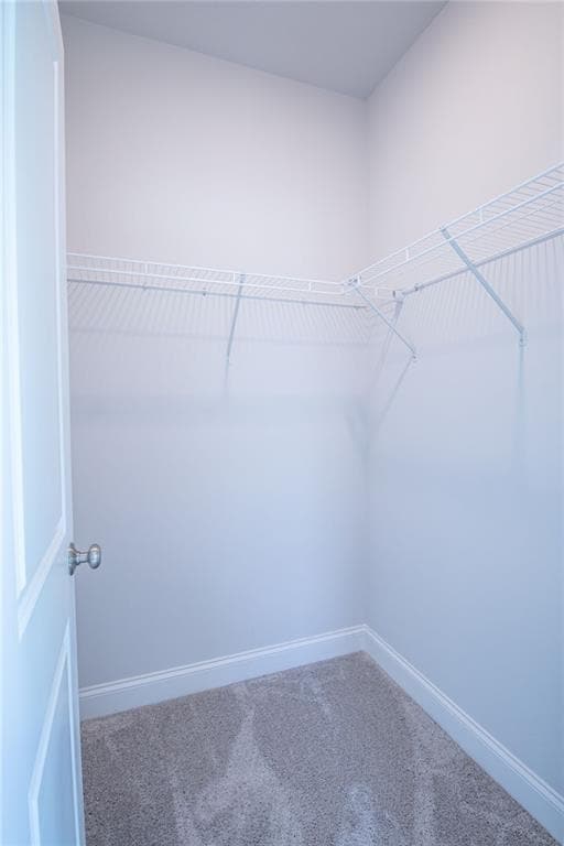 Building Photo - 4010 Maypop Ln