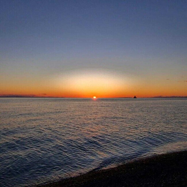 Building Photo - 4183 Sucia Dr