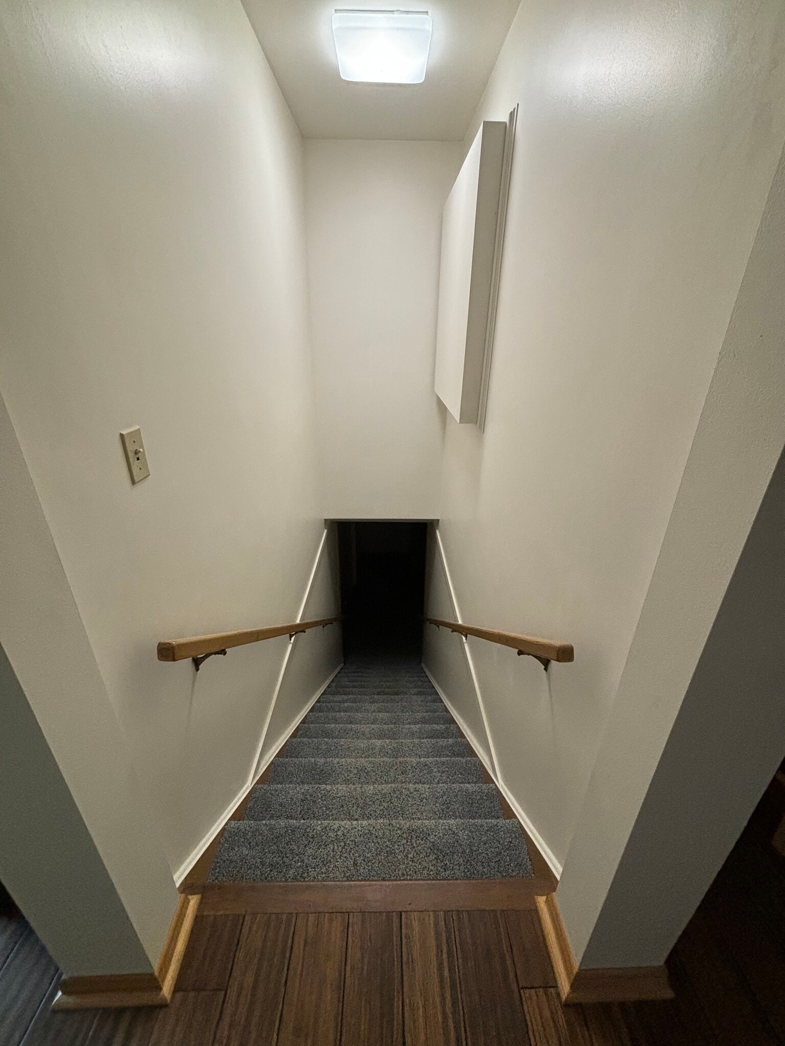 Carpeted stairs to basement - 815 E 6th St