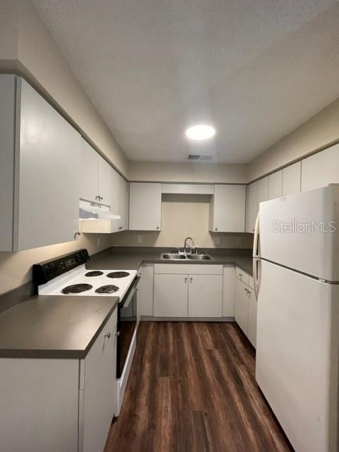 Building Photo - 1339 Penny Royal Ct
