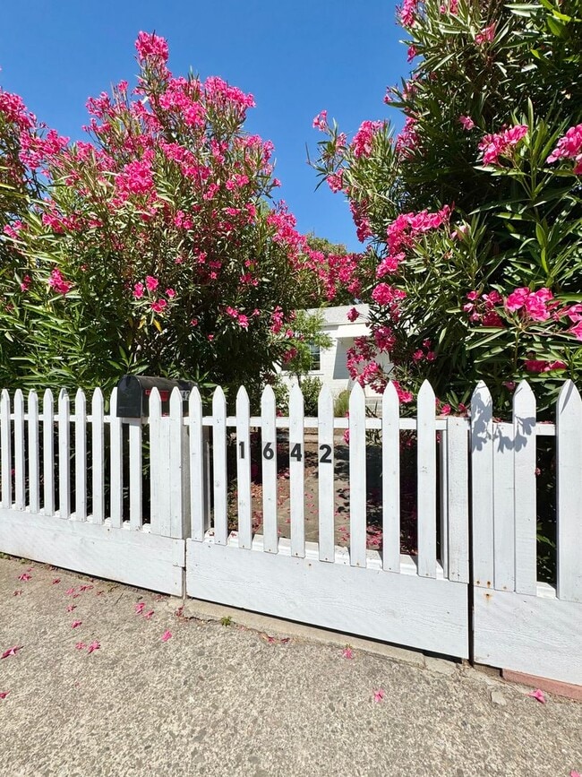 Building Photo - Available For 4+ Months!* Rare Find Furnished Saint Helena Gem, “Upper Tainter” 2 Bedrooms, 2 Bat...