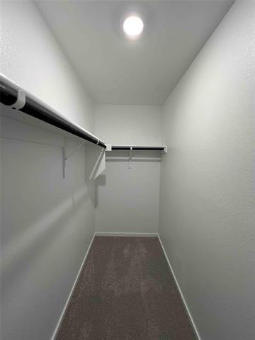 Building Photo - 1529 Lanner Mdws Ln