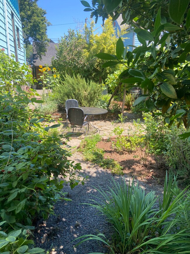 side patio - 4214 N Albina Ave