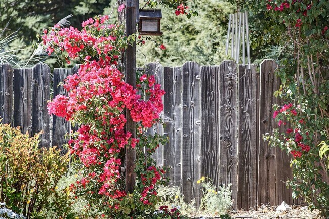 Building Photo - 2,003 Sq Ft Modern 4BR/2BA: Solar, EV Charging & Private Orchard!