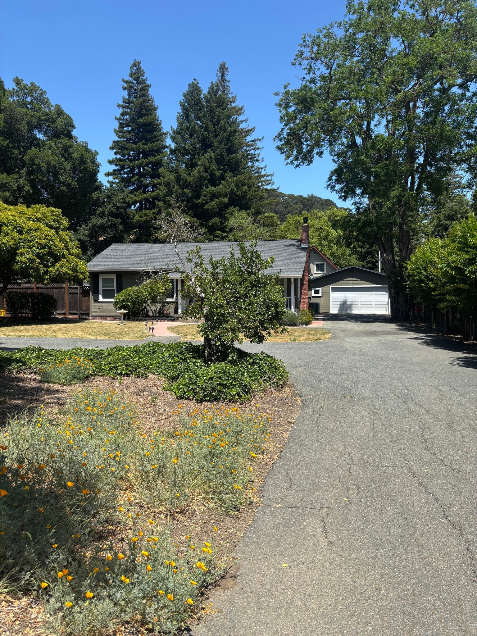 Driveway - 1234 Pleasant Hill Rd