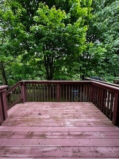 Building Photo - 109 Abelia Dr