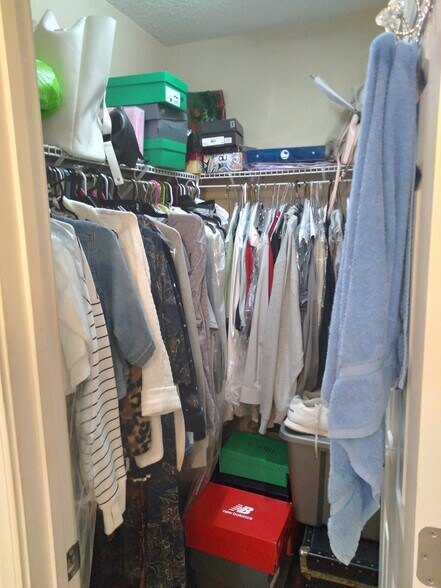 Main Bedroom Closet - 109 Smith St