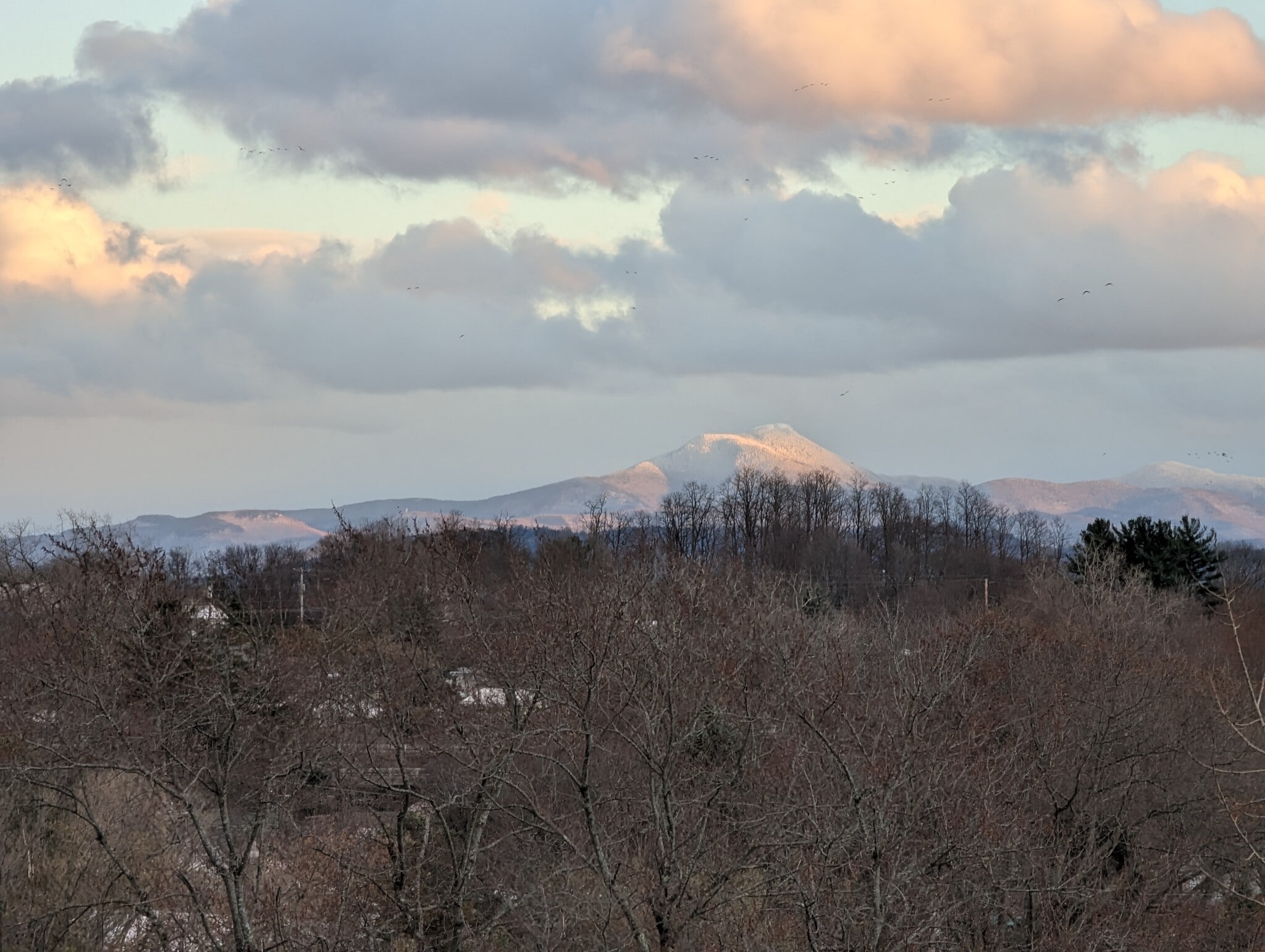 Mountain view - 163 Franklin St