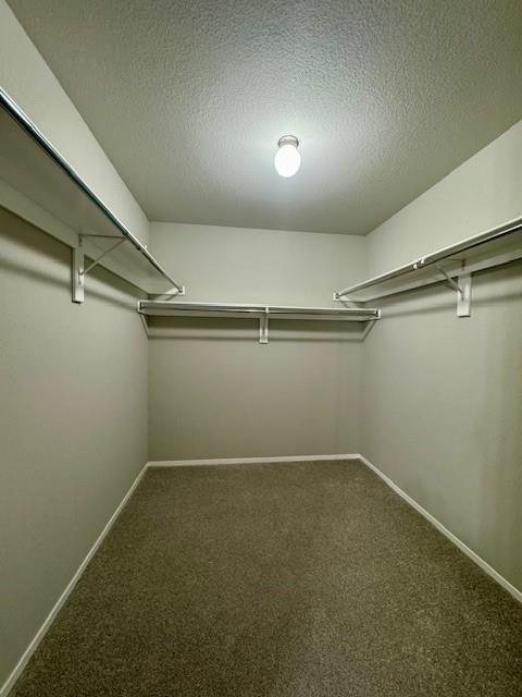 Building Photo - 2120 Talia Trail