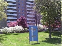 Building Photo - Bayview Tower Apartments