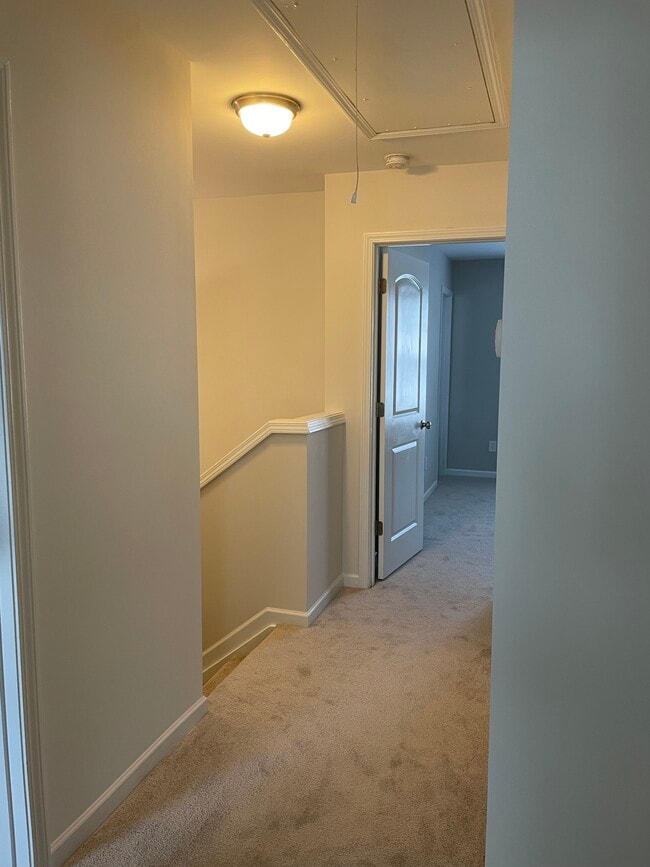 Building Photo - 311 Sandy Spring Ln