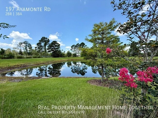 Building Photo - 197 Ayamonte Rd