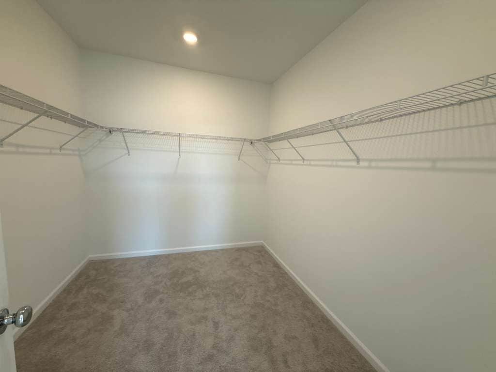 Building Photo - 3111 Mindfullness Dr