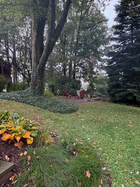 Backyard Firepit - 200 Blackstone Ave