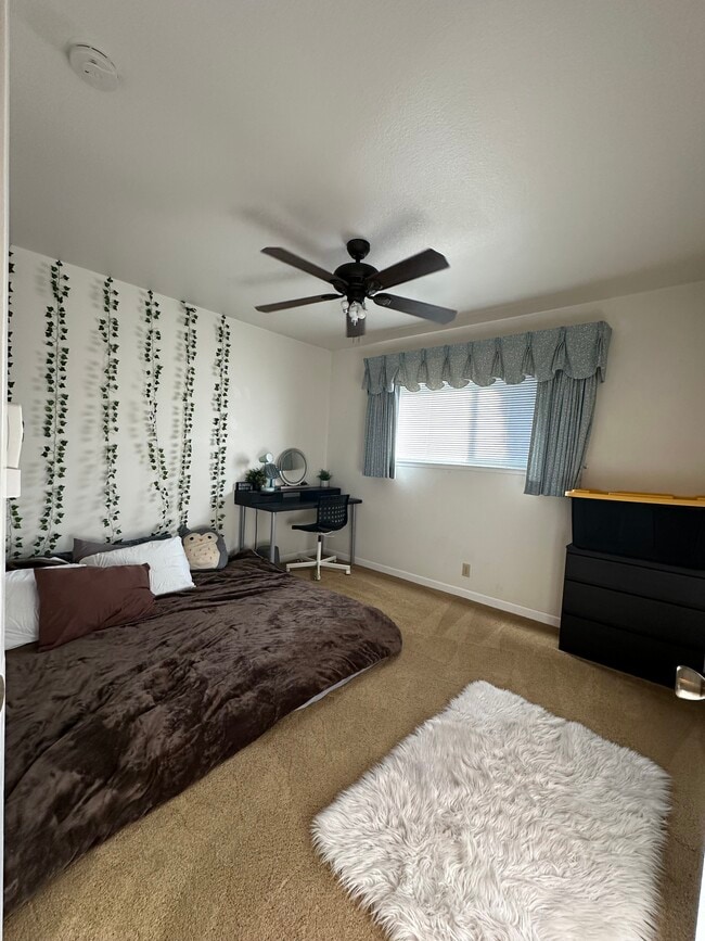 Building Photo - 2209 El Cejo Cir